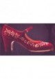 Zapato Flamenco 271